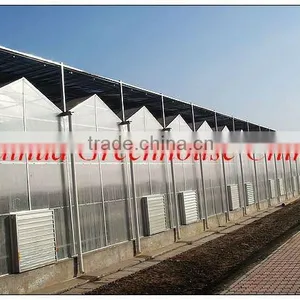 Commercial -Agricultural Polycarbonate Greenhouse thumbnail-2