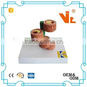 V-AM008 Artery Model thumbnail-1