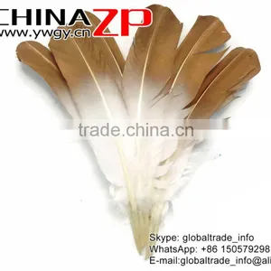 Gold Leading Supplier CHINAZP Wholesale Plume Dyed Bulk Gold Metallic Bicolourable Turkey Feathers thumbnail-3