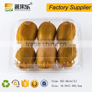 Fresh Kiwi Thermoforming Plastic Packaging Container thumbnail-1