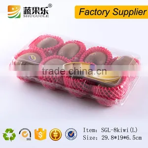 Wholesale Eco-friendly Fresh Kiwi Fruit Berry Plastic Containers thumbnail-3