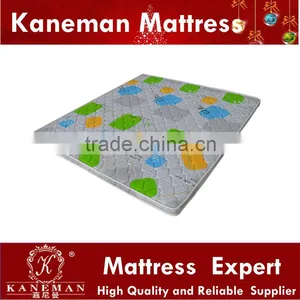 Japan and Korea Market Firm Coconut Fiber Thin Mattress thumbnail-1