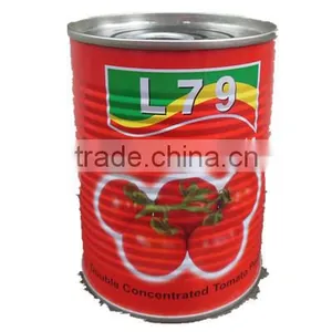 800g Double Concentrated Tomato Paste thumbnail-1