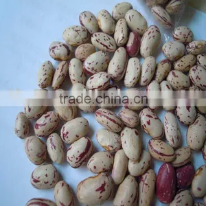 Light Speckled Kidney Beans 2010 Round thumbnail-1