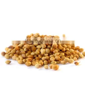 Indian High Grade Fresh Wholesale Dried Coriander Seed thumbnail-6