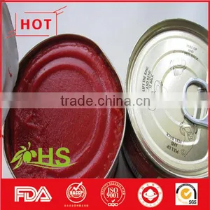 Canned Tomato Paste (70g-4500g) thumbnail-1