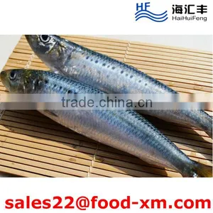 2016 New Stock Whole Frozen Fresh Seafood Price Sardine on Sale thumbnail-1