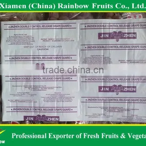Fresh Fruits of Red Global Grape thumbnail-6
