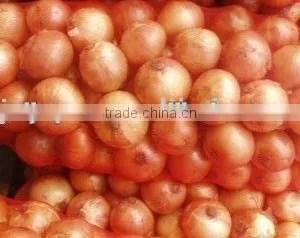 Juyuan Yellow Onion thumbnail-1