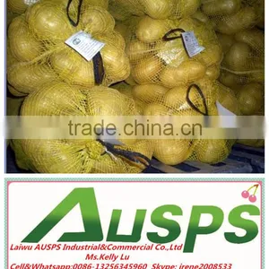China Fresh Potato With Best Price thumbnail-2