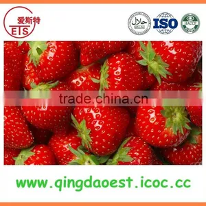 Wholesale for Sale Best Price Chinese Strawberry thumbnail-4