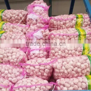 Fresh Purple Garlic,normal White Garlic thumbnail-5