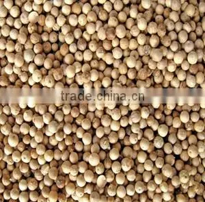 VIETNAM WHITE PEPPER 630G/L (+841657106604 - WHATSAPP) thumbnail-1