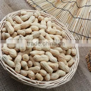 Dried Peanuts Inshell thumbnail-1