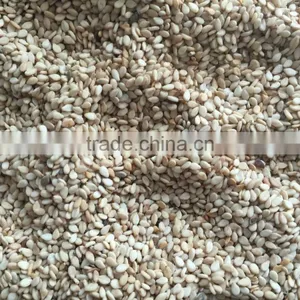 Good Quality Natural White Sesame Seeds thumbnail-1