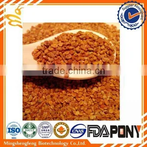 High Quality Cheap Chinese Bee Pollen From China thumbnail-4
