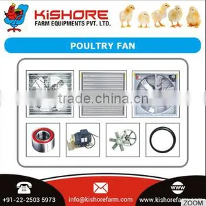 High Quality Chicken Poultry Equipment thumbnail-1
