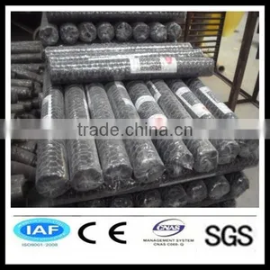 Anping Hexagonal Mesh thumbnail-1