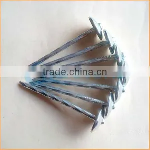 Top Quality Metal Iron Nail Type Roofing Nail With Umbrella Trusted Chuanghe Suppliers From Com thumbnail-6
