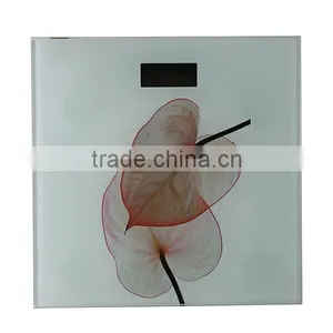 ZZJK-B017 Digital Weighing Health Body Scales 150kg thumbnail-1