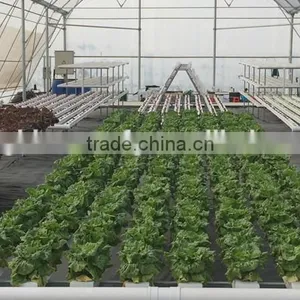 Agricultural Greenhouse Used Commercial Greenhouse thumbnail-1