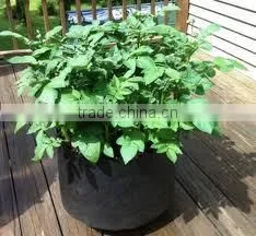 Pot Garden Nonwoven Felt Smart Pots With Handle (1 Gal to 1200 Gal) thumbnail-1