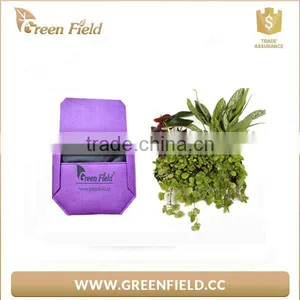 Vertical Wall Mount Garden Plant Grow Container Bags Living Felt Wall Hanging Planter thumbnail-3