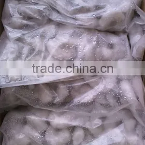 Green of Vannamei Shrimp thumbnail-2