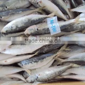 Frozen Whole Horse Mackerel Fish thumbnail-5