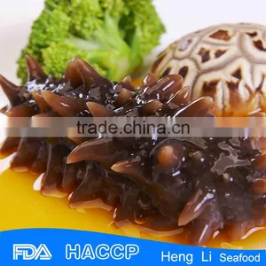 HL011Nutritious Sell Sea Cucumber Species thumbnail-1