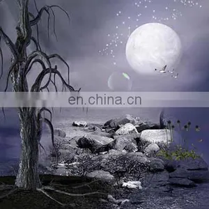 Top Quality Professional OEM Printing 3D Lenticular Printing Landscape Poster thumbnail-3