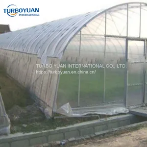 Clear White Solar Eva Greenhouse Plastic Film on Roll thumbnail-1