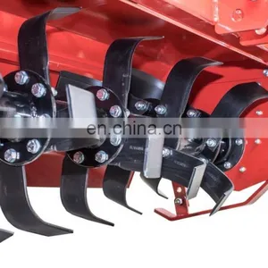 Farm Tractor 3 Point Spring Tilling Machine Mini Tiller Rotavators thumbnail-4