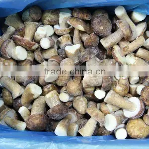 Frozen Boletus Edulis, Whole, Grade A, 2-4cm thumbnail-1