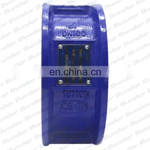 Bundor Factory Price Class150 Ductile Iron Automatic Wafer Dn80 Non Return Valve thumbnail-3
