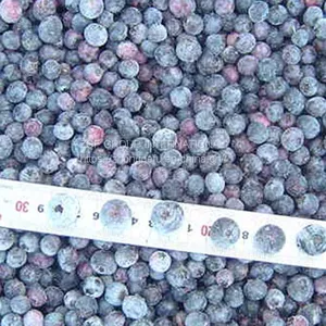 Frozen Blueberry thumbnail-1