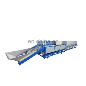 New Type Automatic Multifunctional Dates Sorting Machine thumbnail-1