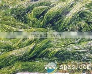 Japan China Korean FoodChuka Wakame Seafood for Sale thumbnail-5
