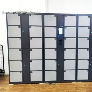 Apartment Building Electronic Locker - Package Delivery System With Mobile App Notification thumbnail-4