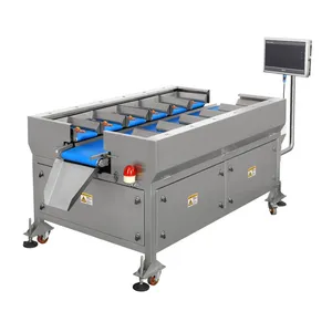 16 Head Belt Weigher Manual Belt Counterweight Weigher for Raw Meat Chicken Fish Steak thumbnail-5