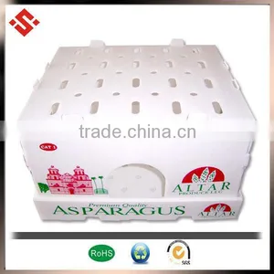 2015 Coroplast PP Plastic Tray for Vegetable thumbnail-1