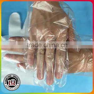 Disposable PE Glove for Restaurant thumbnail-1