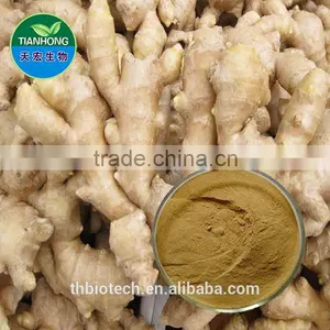 Manufacturer Pure Natural High Quality Ginger Extract, Ginger Root Extract, Ginger Extract Powder thumbnail-1