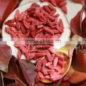 Goji for Dried Fruits Importers thumbnail-1