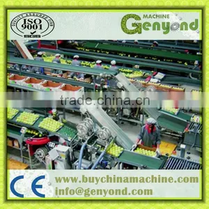 Fruit Photoelectronic Grading Line thumbnail-2