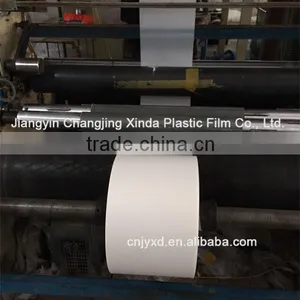 Pdlc Film thumbnail-4