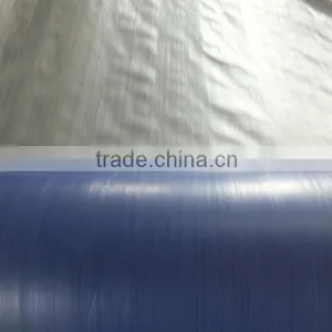 Blue/Silver PP Plastic Laminating Tarps Sheets Tarpaulin Plastic Sheet With All Specifications China Manufacturing thumbnail-3