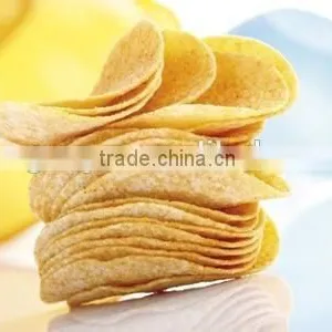High Quality Fried/Snack Food Extrusion Machine thumbnail-1