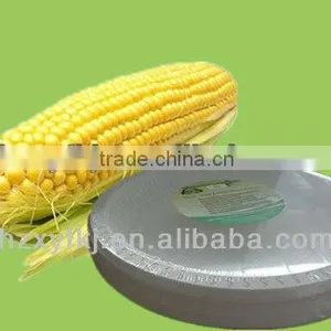 Biodegradable Disposable Tableware Eco-friendly 7'' Cake Plate thumbnail-4