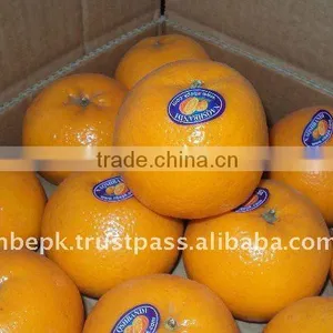 Mandarin "Kinnow" Orange, Citrus Fruit From Pakistan thumbnail-1